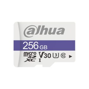 DAHUA DHI-TF-C100/256GB