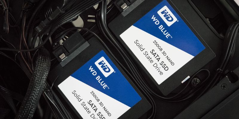 Giới thiệu đôi nét về thương hiệu Western Digital