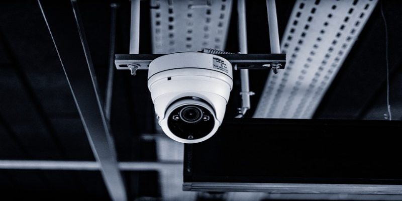 Hệ thống AI được đào tạo bằng cách sử dụng hàng triệu hình ảnh