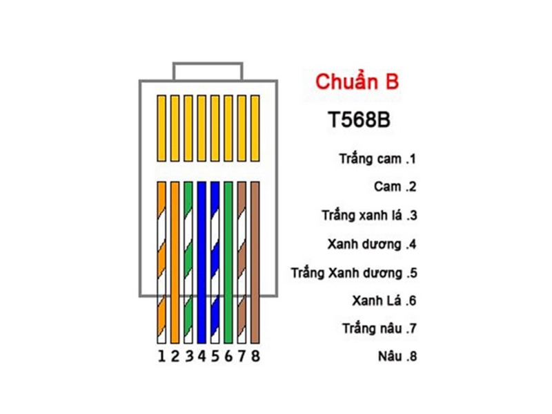 Ứng dụng thực tế của dây mạng chuẩn B