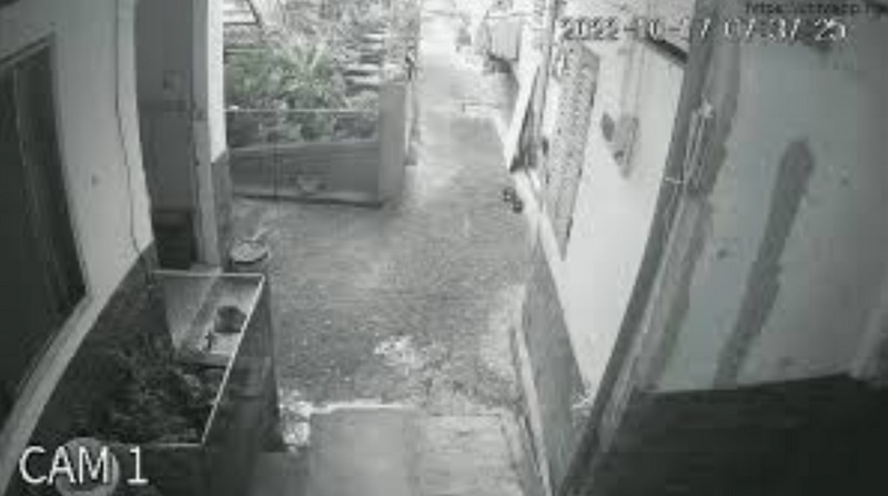 Cách khắc phục camera bị nhiễu hình ảnh hiệu quả, nhanh chóng